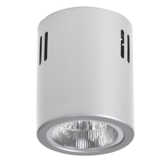 Подсветка тубус накладная AL-70/1 GU10 SGY IP20 MR16