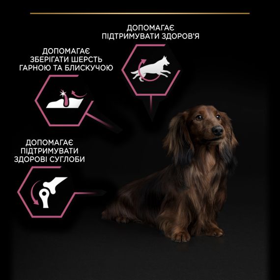 Сухий корм для собак малих порід з лососем Purina Pro Plan Small & Mini Sensitive Skin 7 кг | Зображення 4