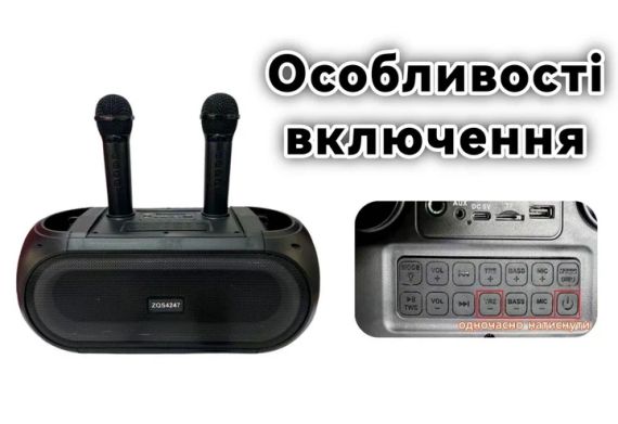 Портативная Bluetooth колонка ZQS4247 16Вт с 2 микрофонами караоке USB TF FM AUX | Зображення 6