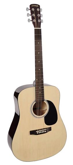 Акустична гітара Nashville by Richwood GSD-60-NT