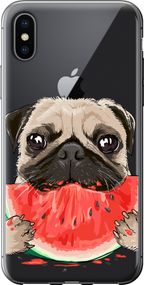 Чехол на iPhone XS Мопс и арбуз "4665u-1583-17620"