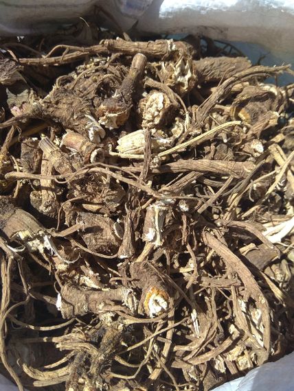 Дягель / Дягиль / Дудник (різаний корінь), 1кг.