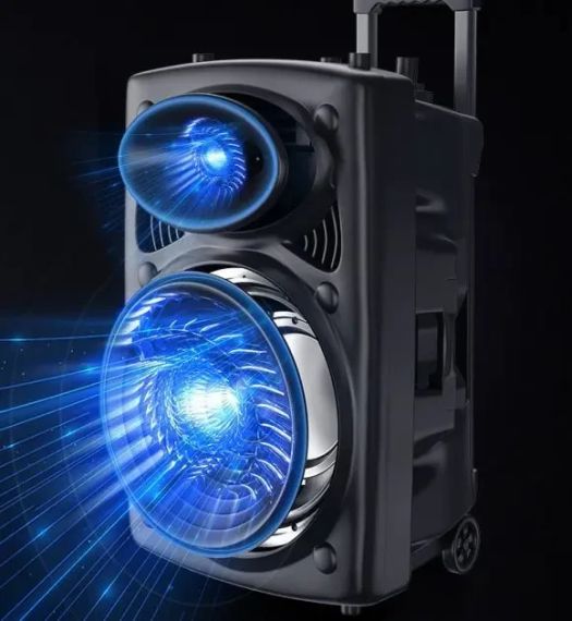 Портативная колонка Su-Kam BT 150D + 2 микрофона 12v\220v | Зображення 1