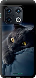 Чохол на OnePlus 10 Pro Димчастий кіт "825b-2588-2448"