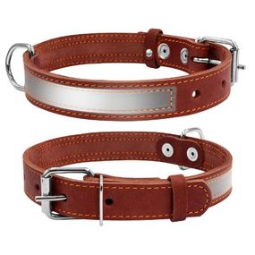 Ошейник для собак CoLLaR со светоотражающей лентой
