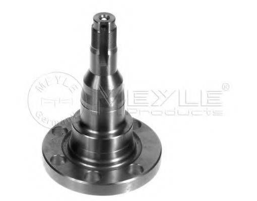 Маточина (поворотний кулак) AUDI 80, SEAT CORDOBA, VW GOLF, PASSAT 73-02 зад. міст (Вир-во MEYLE) MEYLE 1005011010 на AUDI 4000 (81, 85, B2)
