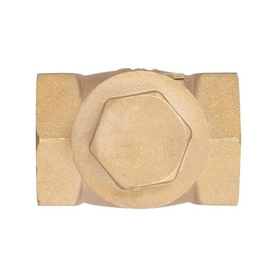 Зворотний клапан Thermo Alliance Standart 1 1/4" SD242W32 | Зображення 4