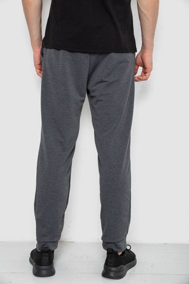 Спортивні штани чоловічі, колір сірий, 238R122 | Зображення 3