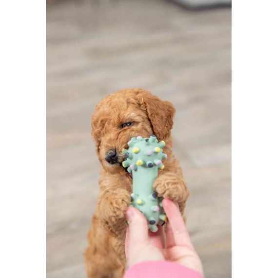 Іграшка Trixie Junior Mini Dumbbell для цуценят Гантель голчаста латекс 10 см | Зображення 3