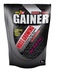 Гейнер Power Pro Gainer 1000 g /25 servings/ Лесная ягода