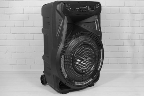 Акустична система з Bluetooth і FM-радіо XPRO GT-6021 (MER-14791_3696) | Зображення 2