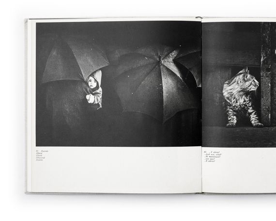 Книга найкращі фотографи світу Педро Луїс Раота Pedro Luis Raota фотомистецтво подарункові книги для фотографів | Зображення 8