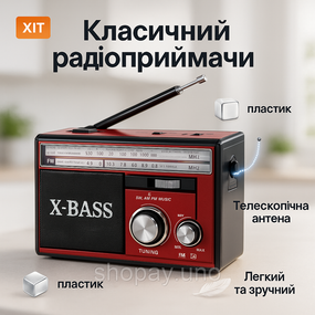 Радіоприймачі від мережі Golon RX-381, Радіо з підтримкою флеш-карт, Радіоприймачі з usb входом JG-64