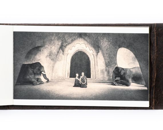 Книги знаменитых фотографов Грегори Колберт Gregory Colbert. Ashes and Snow. Feather to fire книга photography | Зображення 7