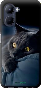 Чохол на Realme C33 Димчастий кіт "825b-2870-2448"