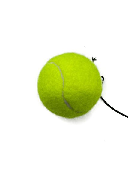 Файтбол PowerPlay 4319 Fight Ball | Зображення 3