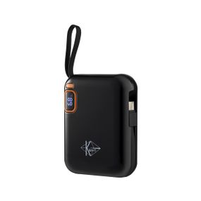 УМБ PowerBank КВАНІК DPD12 10000mAh