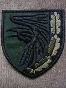 Шеврон 93 ОМБр Холодный Яр