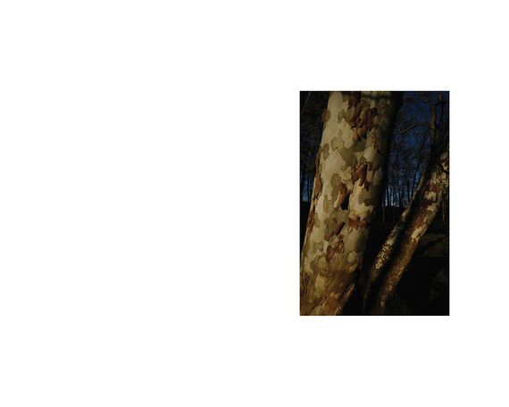 Книга по фотографии Rebecca Norris Webb "Night Calls" книги о фотографах Ребекка Норрис Уэбб с афтографом | Зображення 7