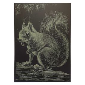Гравюра А4 "Белка" ГрА4-1з эконом вариант в пакете 29,7х21 см