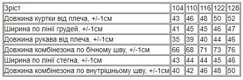 Комплект для хлопчика (комбінезон із курткою) зима Носи своє 104 Сірий (p-15453-176830) | Зображення 7