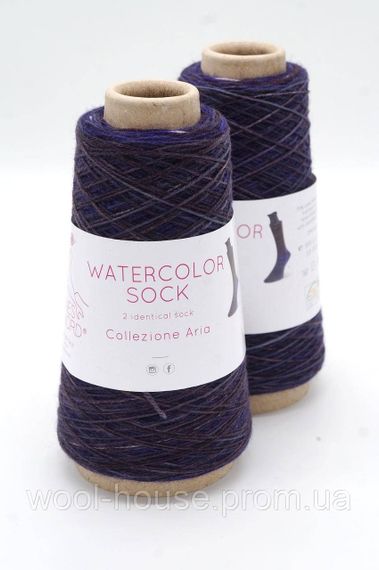 Шкарпеткова пряжа Laines du Nord Watercolor Sock, 106 | Зображення 1