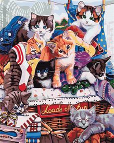 Кумедні котенята