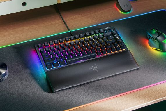 Клавіатура Razer BlackWidow V4 75% RGB 83key Mechanical Tactile Switch GEN-3 RZ03-05000100-R3M1 | Зображення 6