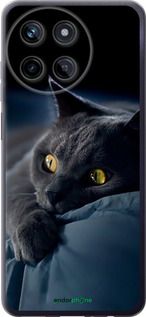 Чохол на Realme Realme 11 Димчастий кіт "825u-3120-2448"
