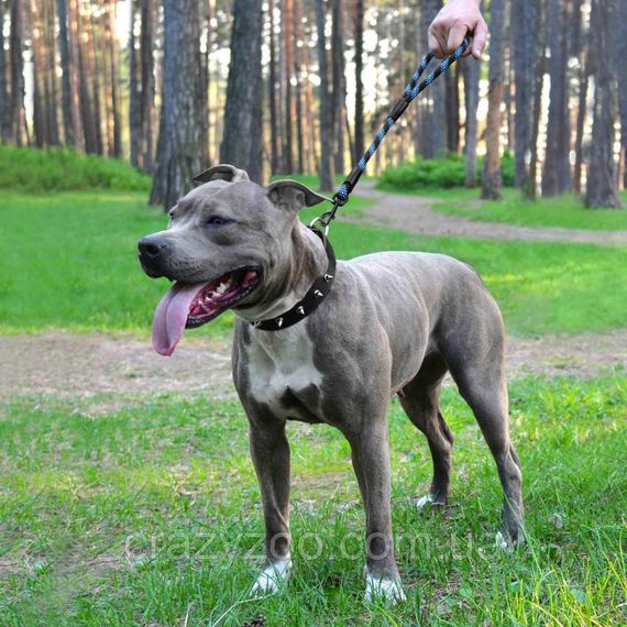Поводок для собак BronzeDog L/XL альпинистский шнур синий 51 см 56182 | Зображення 3