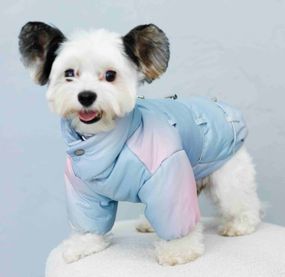 Куртка з фіксаторами тайдай блакитна K-83