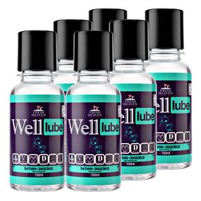 Интим-смазка вагинальная (блок 6шт) Fresh Heaven Well Lube 100ml (Travel версия)