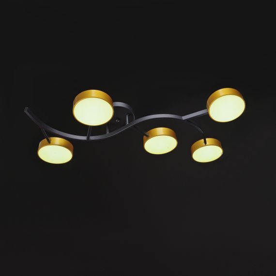 Люстра потолочная в зал LED 75W WW+NW+CW BK+G (BR-01 642C/5) | Зображення 3