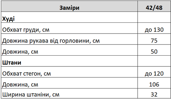 Жіночий спортивний костюм з прямими штанами і худі з бантами сірий колір, розмір 42/48 HI2732 | Зображення 5