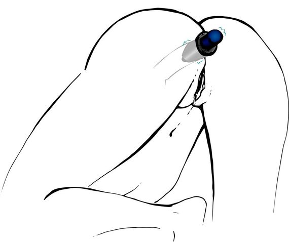 Анальная открытая пробка Lust Tunnel M sexstyle | Зображення 3