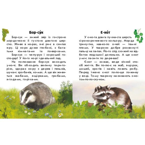 Читаю про Україну по складах "Тварини лісів" 366023 з кольоровими ілюстраціями | Зображення 3