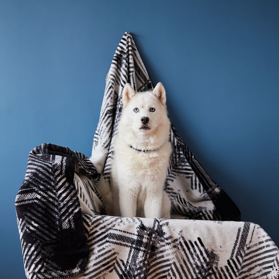 Покривало IDEIA 87207 Туреччина 150*200  Бавовна Чорний