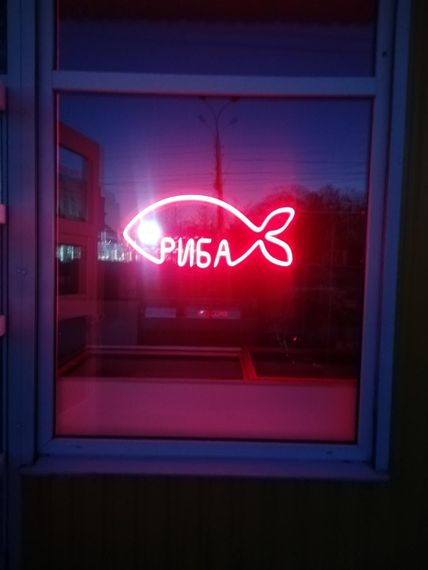 Неоновий світильник Риба 700х330 acr-n000081 | Зображення 3