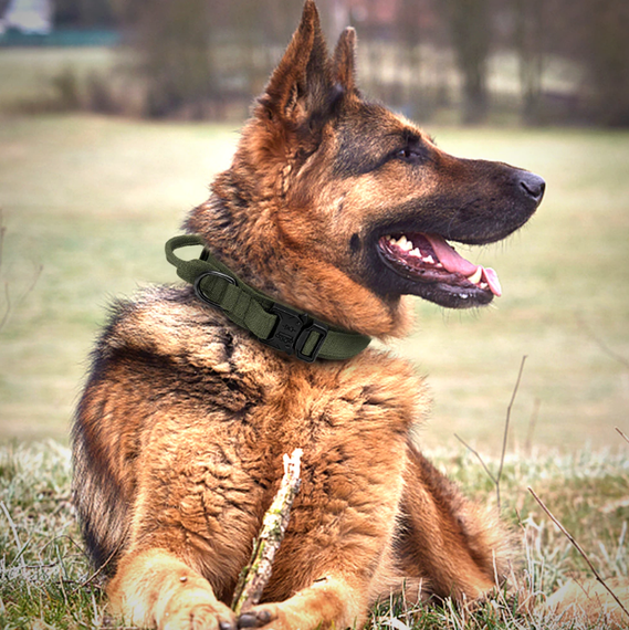 Тактический ошейник Primo DOG для собак, размер L (45-55см) - Army Green | Зображення 5