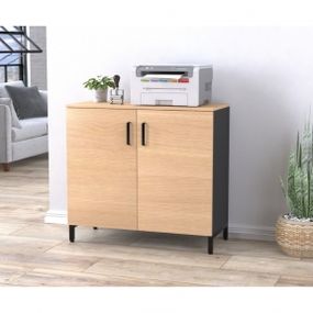 Тумба офисная Loft Design LT-900-830 антрацитборас