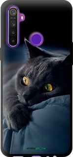 Чохол на Realme 6i Димчастий кіт "825b-2059-2448"