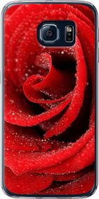 Чехол на Samsung Galaxy S6 G920 Красная роза "529u-80-17620"