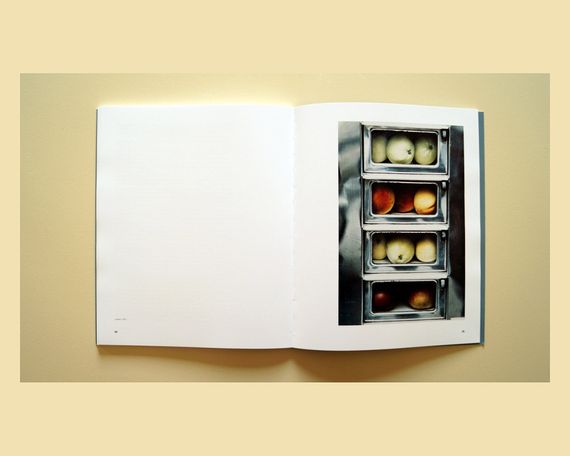 Книга известные фотографы и их работы Luigi Ghirri "Thought Landscapes" пейзажная фотография Луиджи Гирри | Зображення 7