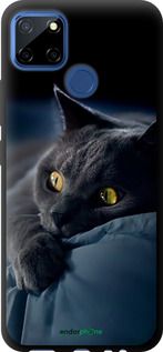 Чохол на Realme C12 Димчастий кіт "825b-2240-2448"