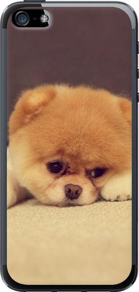 Чехол на iPhone 5s Boo 2 "890u-21-17620"