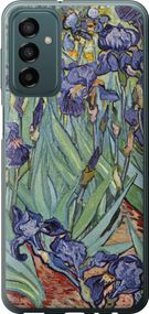 Чехол на Samsung Galaxy M23 M236B Винсент Ван Гог. Ирисы "161u-2632-17620"