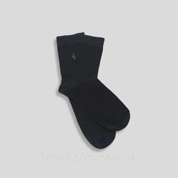Шкарпетки чоловічі класичні демісезонні Тм TwinSocks Сірий, 29 / XL / 43-44 | Зображення 1
