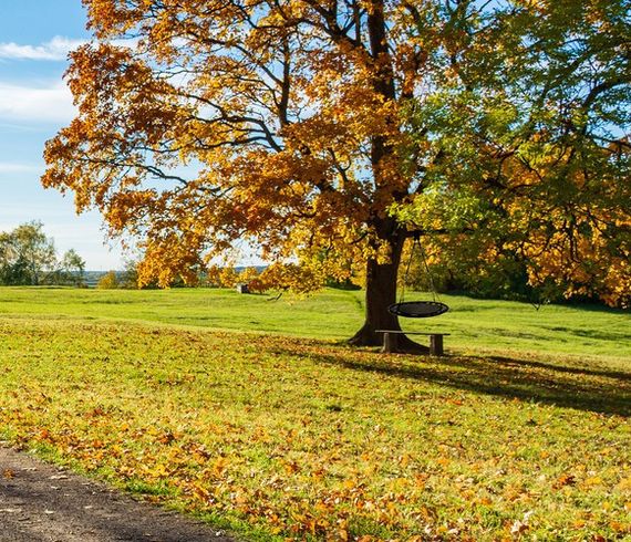 Детские качели «Гнездо аиста» Ø100 см / 150 кг – регулируемая высота, садовые подвесные качели | Зображення 9