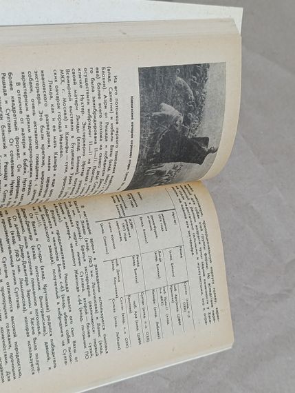 Калінін В.А., Іванова Т.М., Морозова Л.В.
Вітчизняні породи службових собак азійського походження 1992 | Зображення 6