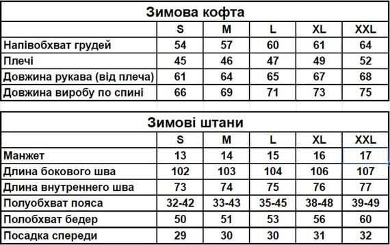 Зимовий базовий однотонний спортивний костюм з начосом чорна кофта на змійці + чорні штани RD262/RD003 | Зображення 8